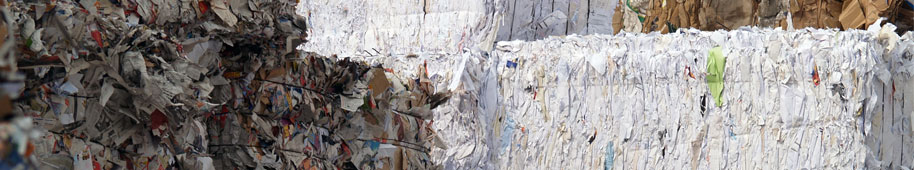 Global Link and Supplies paper pulp